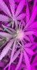 6F118D73-0A7C-4B01-94BE-80891EF0A4E2.jpeg