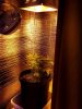 Resized_20210107_191255.jpeg