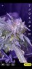 229BE22A-2B40-4D20-AFA9-08F81A3F012D.jpeg