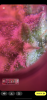 F5029C87-159B-402A-8CC3-E4D485E46214.png