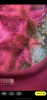 D43A8BE1-2B47-47D0-B6F8-E4D1B41F9F8D.png