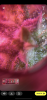 13E126AB-9956-404C-ABC0-3CF2F4865793.png