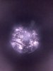 20201210_173052.jpg