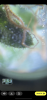 C9ED0384-B865-4F4D-89C0-728CDCE156F9.png C9ED0384-B865-4F4D-89C0-728CDCE156F9.png