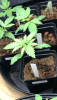 C7D23605-CC57-40BB-A3EB-17BEE57E4E72.png