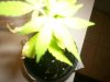 100_0700.jpg