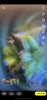 1D161FD6-D24F-47F5-BB8E-A715085D642F.png
