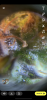 3E605655-5E9D-410B-84B2-3F3D99A159A5.png