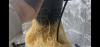873C7F93-FF91-4BC8-8536-384EC7849BE2.png