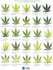 marijuana-deficiency-chart-2.jpg