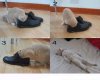 Cat-and-shoes-having-fun.jpg