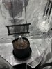 image1 (2).jpeg image1 (2).jpeg