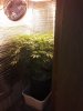 Resized_20210121_194344.jpeg