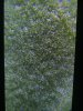 5796BB21-49C7-46B3-9FC2-212DBD4093F3.jpeg