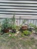 downsized_0626091414a_0001.jpg