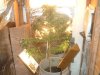 DSCF1782.jpg