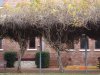 DSC03313.jpg