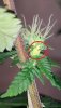 image0.jpeg