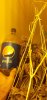 ghostrain 2 liter cola top.jpg