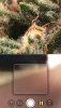 B176E146-4848-42D9-AB6C-E0F0C379561D.jpeg