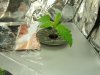 100_1220.jpg