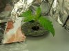 100_1223.jpg