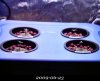 20090623-Side.jpg