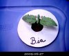 20090627-Bia.jpg
