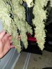 20201229_224643.jpg