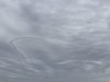 651D5184-8FFE-4738-823C-EC1300EC40C0.jpeg