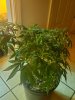 20210211_010705.jpg