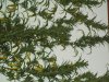 100_0115.jpg