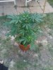 downsized_0629091403a_0001.jpg