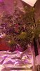 20210217_121940.jpg