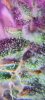 Screenshot_20210221-234711_Gallery.jpg