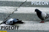 1614046605583.png