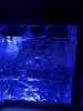 C6B3DB46-B17E-4706-A931-E0E928E62AB9.jpeg C6B3DB46-B17E-4706-A931-E0E928E62AB9.jpeg