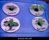 20090628-top.jpg