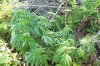 103_1004.jpg