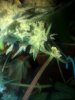 6BD7717F-3E68-43E6-93B4-5787914B6D74.jpeg