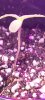 20210301_183047.jpg