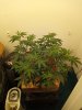 20210305_065708.jpg