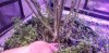 20210305_182954.jpg 20210305_182954.jpg