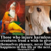 1615249291356.png