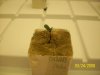 100_1049.jpg