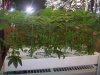 102_2706.jpg