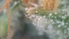 20210309_183336058.jpg