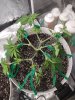 IMG_20210312_200811839.jpg