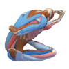 1615852643372.png