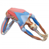 1615853392054.png